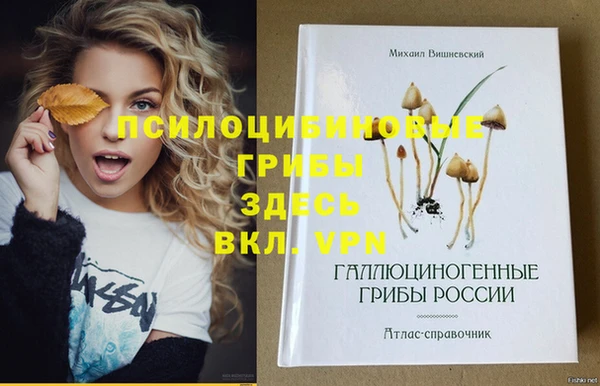 трава Абаза