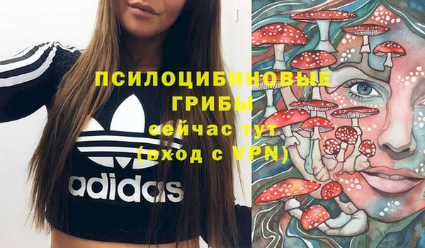 ПСИЛОЦИБИНОВЫЕ ГРИБЫ Алексеевка