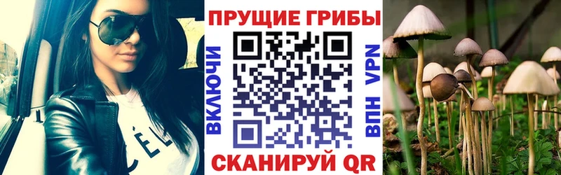 Галлюциногенные грибы ЛСД купить наркотик Киров